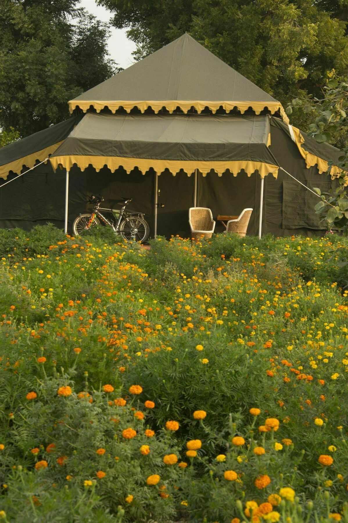 Orchard Tents & Tranquility Pushkar Dış mekan fotoğraf